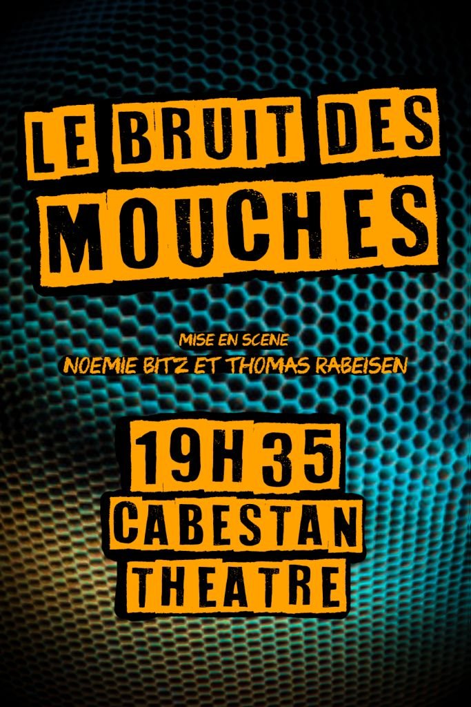Affiche du spectacle le Bruit des Mouches
