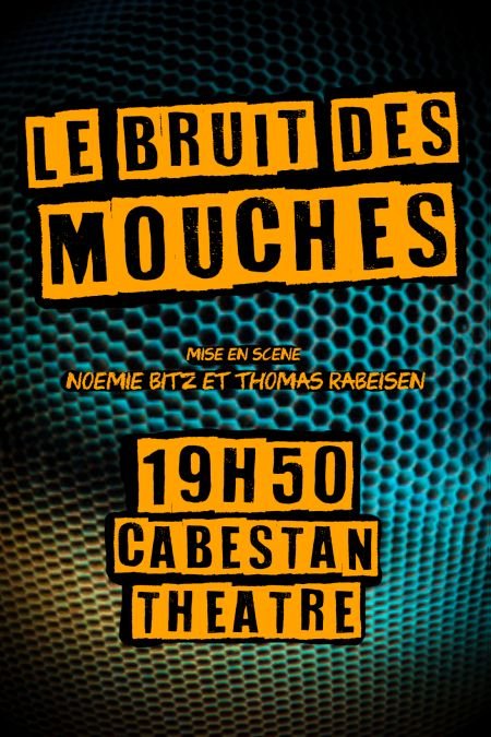 Affiche du spectacle le Bruit des Mouches